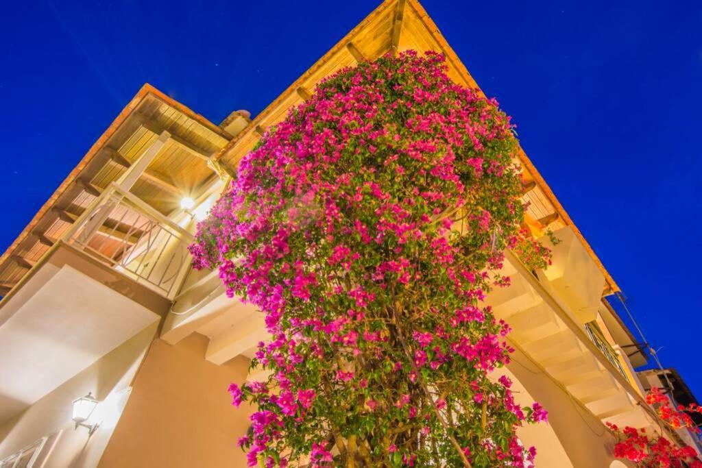 Villa Emily Zakynthos Tsilivi  Luaran gambar